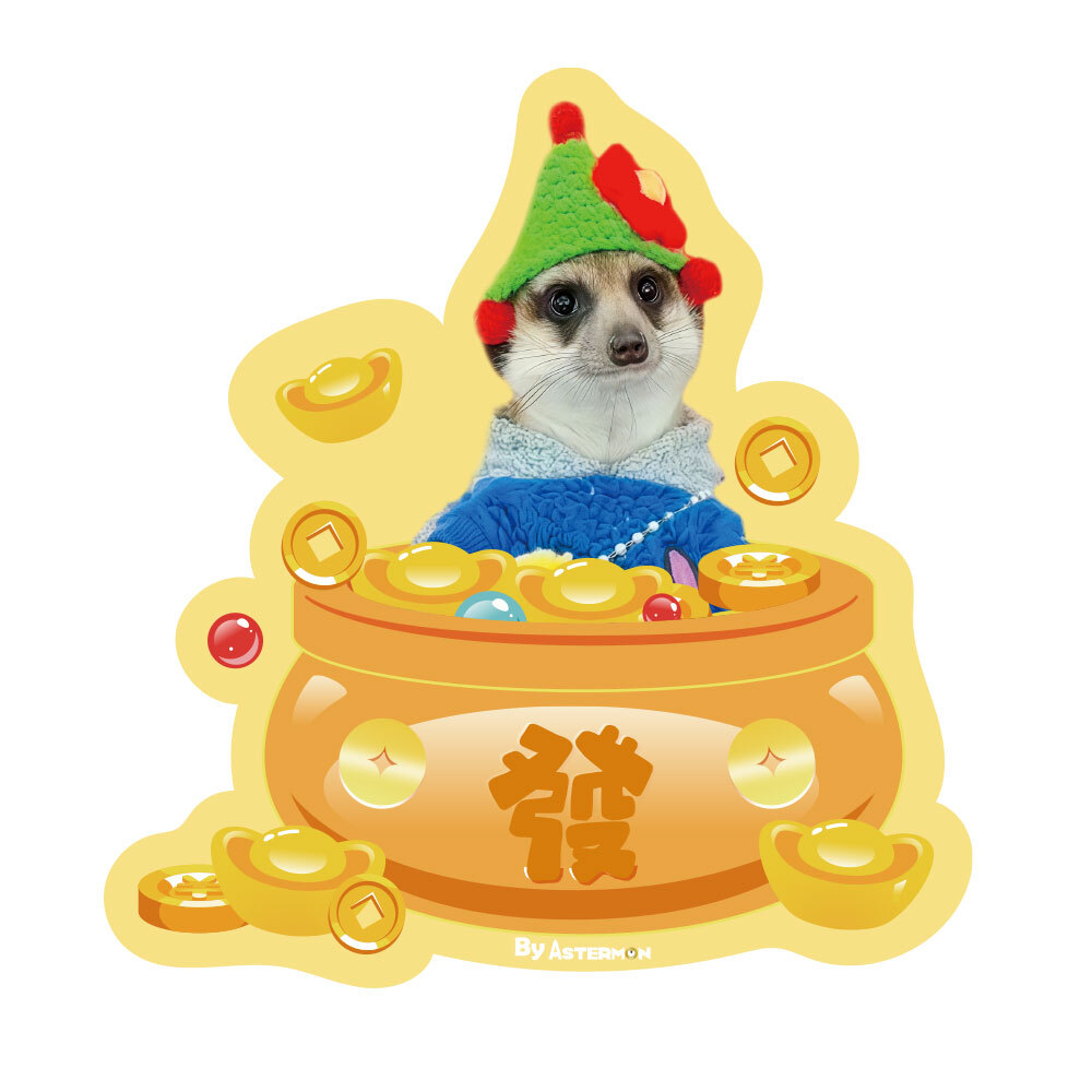 Daily riches（New Year carpet）