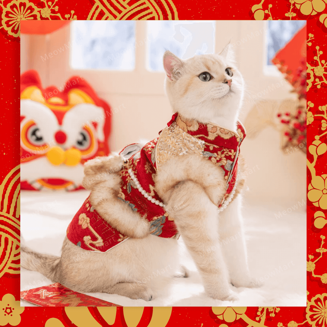 貓新年衫, 貓唐裝, 貓新年唐裝, 貓衣服, 貓服飾, 寵物衣服, 寵物服飾, 寵物服裝, 狗狗衣服, 狗狗服飾, 貓狗衣服, 貓狗服飾, 貓頸圈, 貓頸巾, 貓頸帶, 貓頸套, 貓著衫, 狗著衫, 寵物新年, 寵物新年衣服