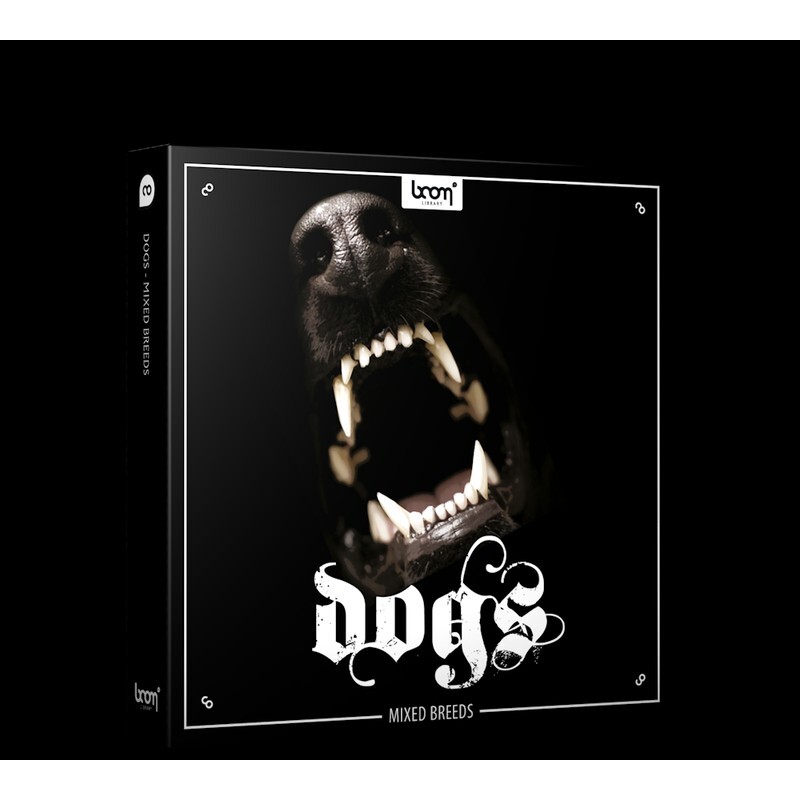 BOOM Library Dogs｜犬類音效庫