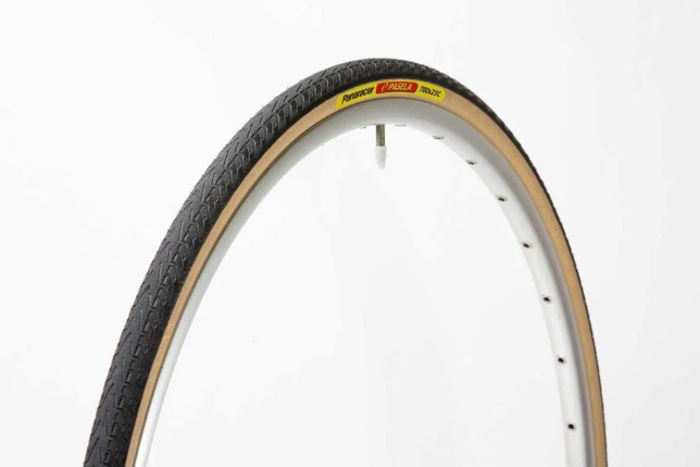 Panaracer Pasela 不摺外呔 / Panaracer Pasela Wired Tire