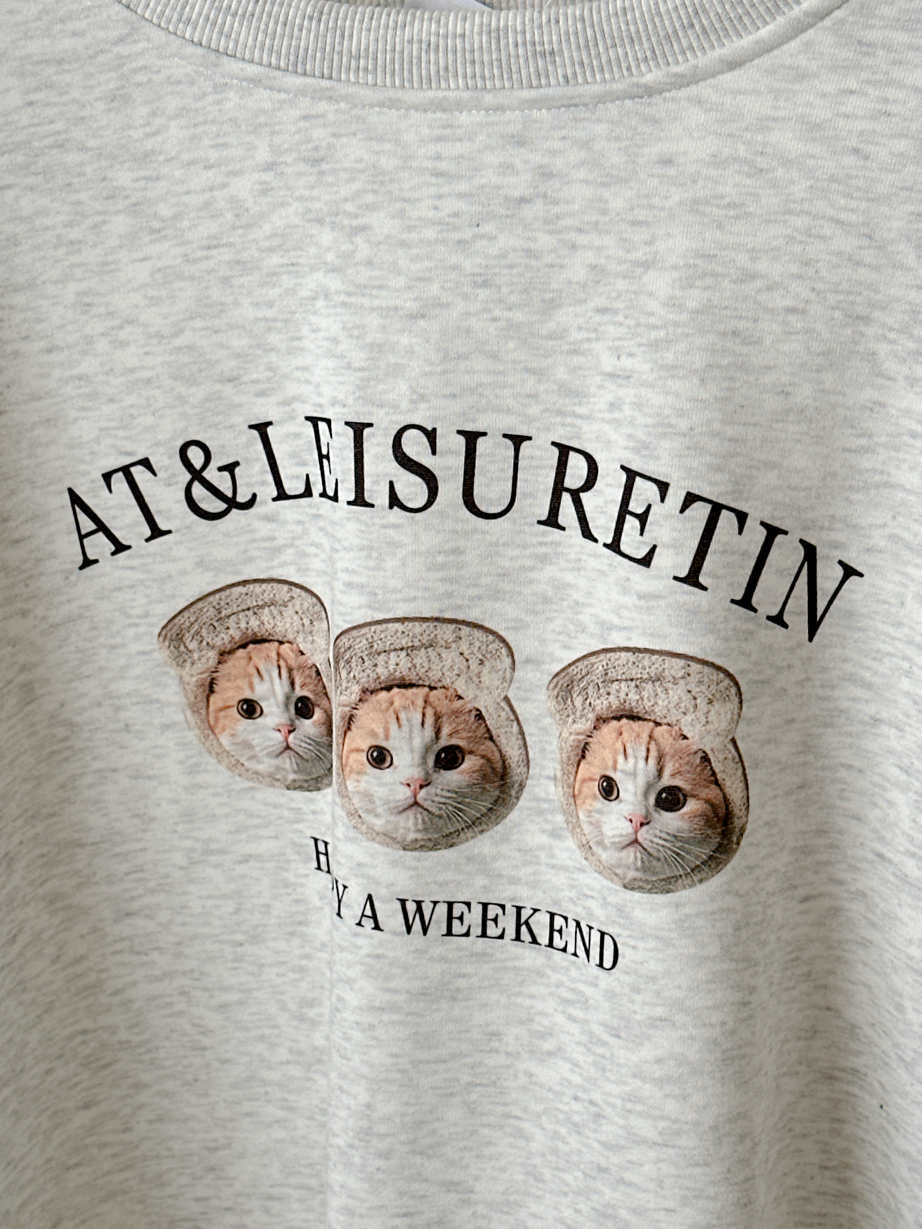 現貨🚚超級Q😍❤️‍🔥卡哇伊貓咪大學T💕共4色