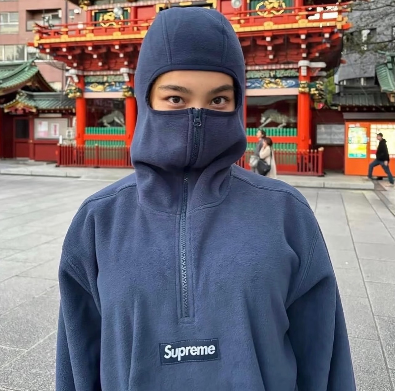 Supreme Polartec® Face Mask Half Zip Hooded Sweatshirt