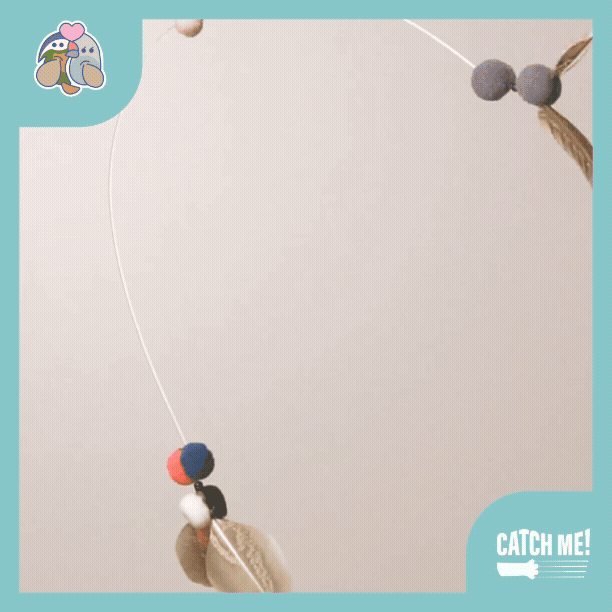 貓用品-貓玩具-逗貓棒