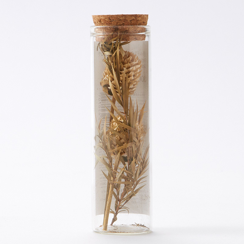 SP 玻璃瓶乾燥花/千日紅