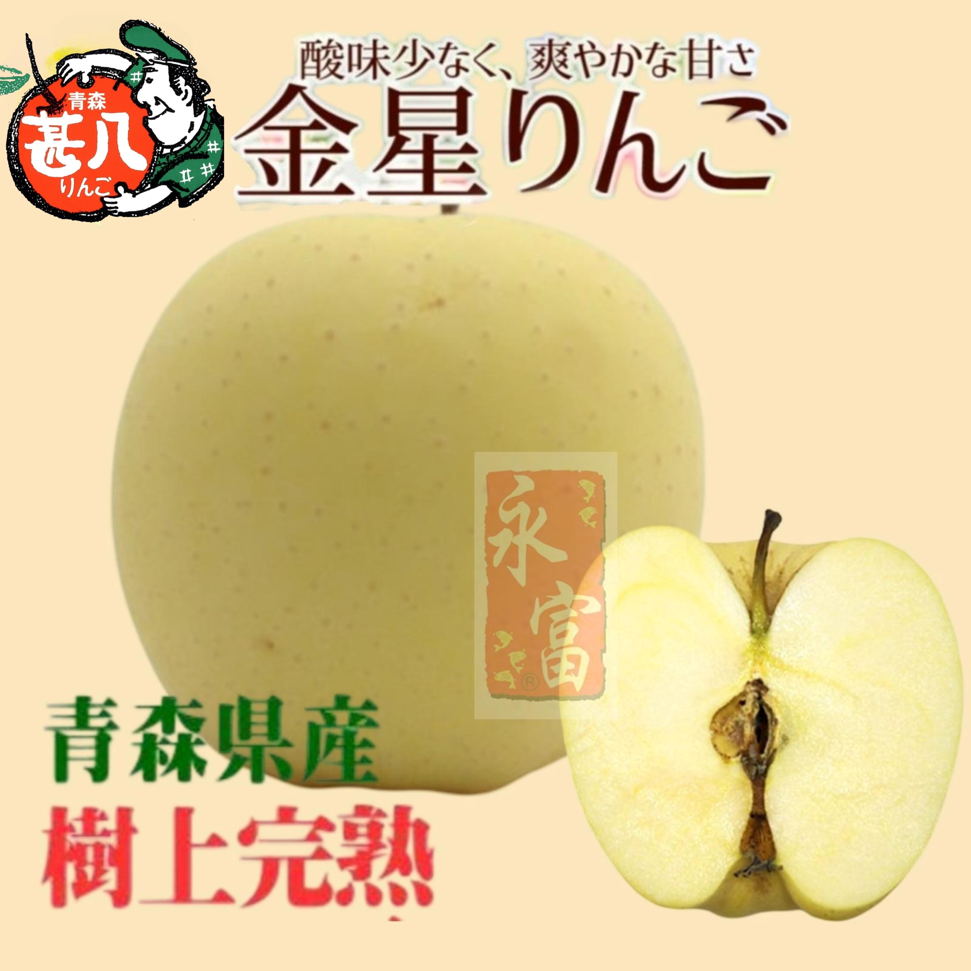日本青森縣金星蘋果