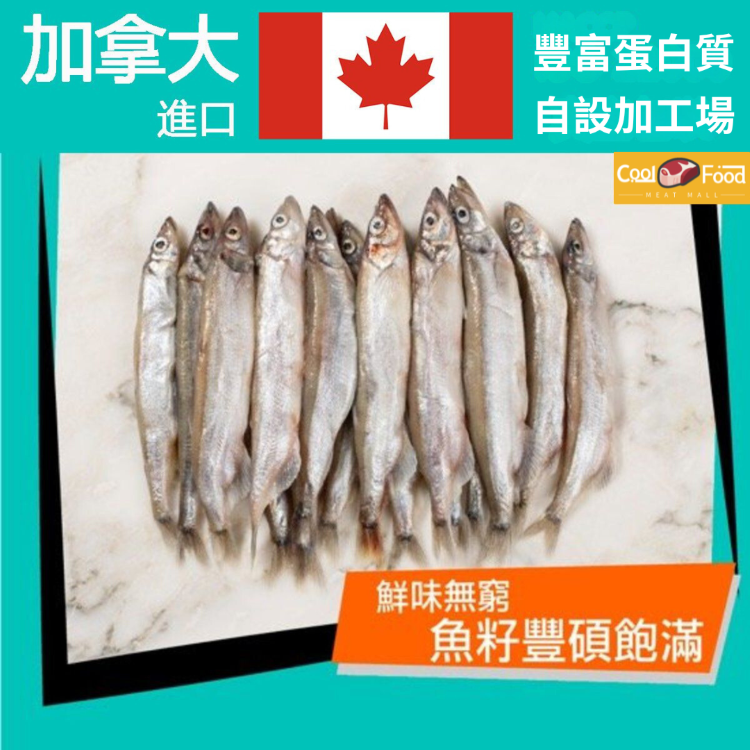 加拿大多春魚 454克