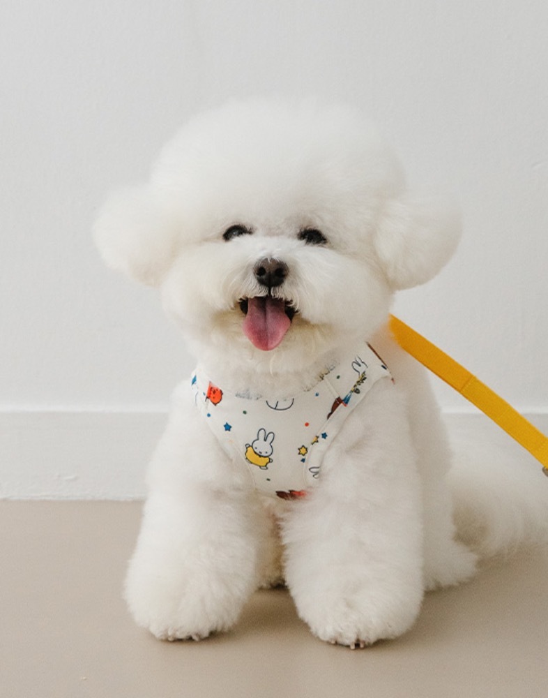 Noutti Miffy & Friends 嘉年華胸背