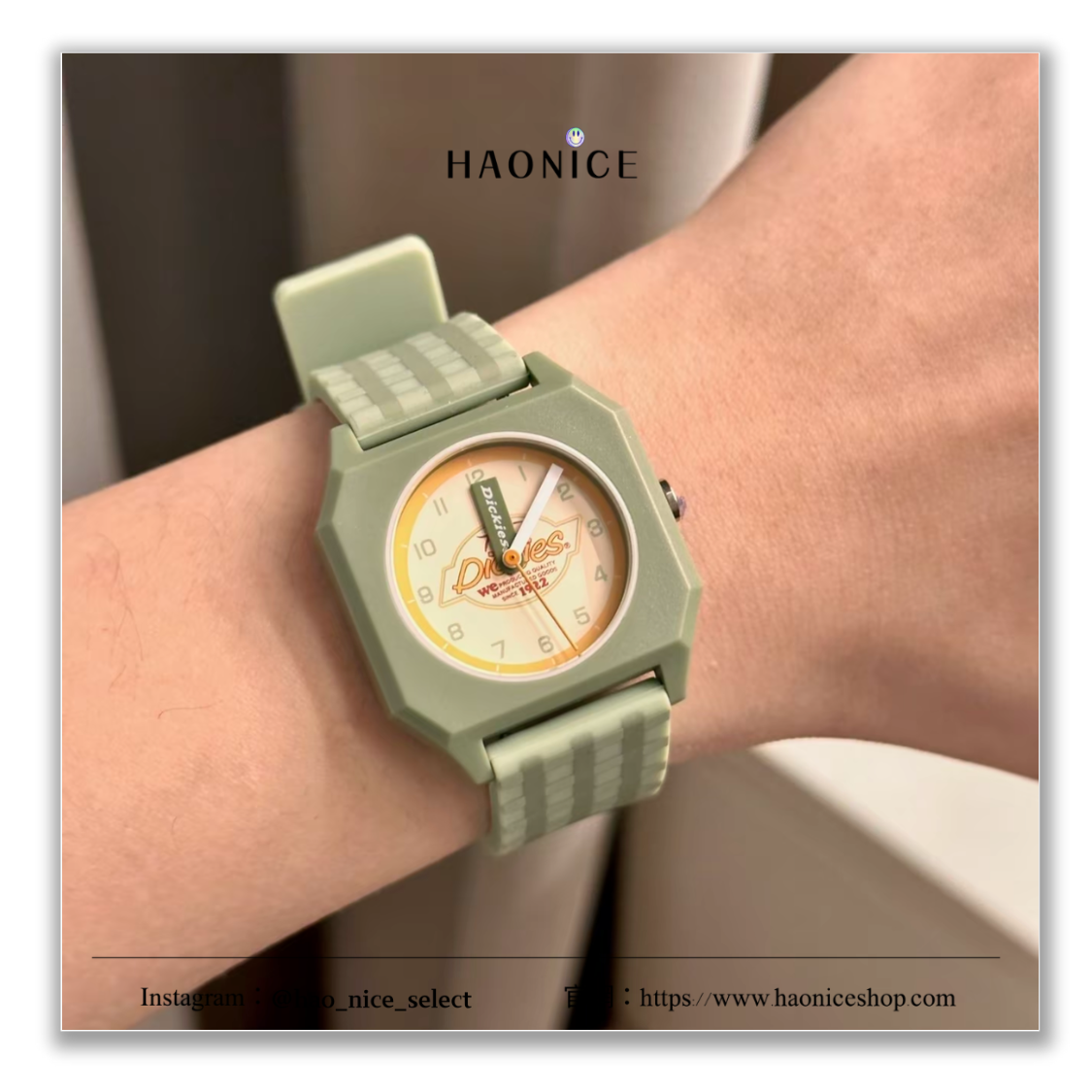 【HAO NICE】100%正品🔥潮流品牌 Dickies 多巴胺系列 馬卡龍多色🌈學生風 石英錶 指針表 防水運動錶