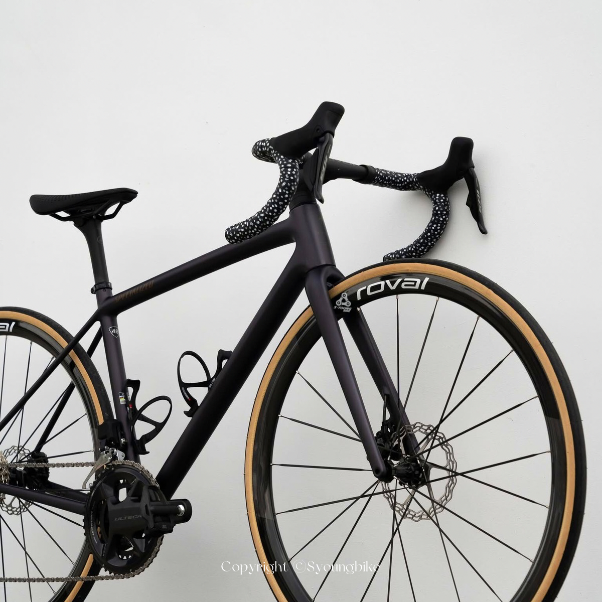 新色【Specialized】Aethos 2 車架組 / 紫黑可可