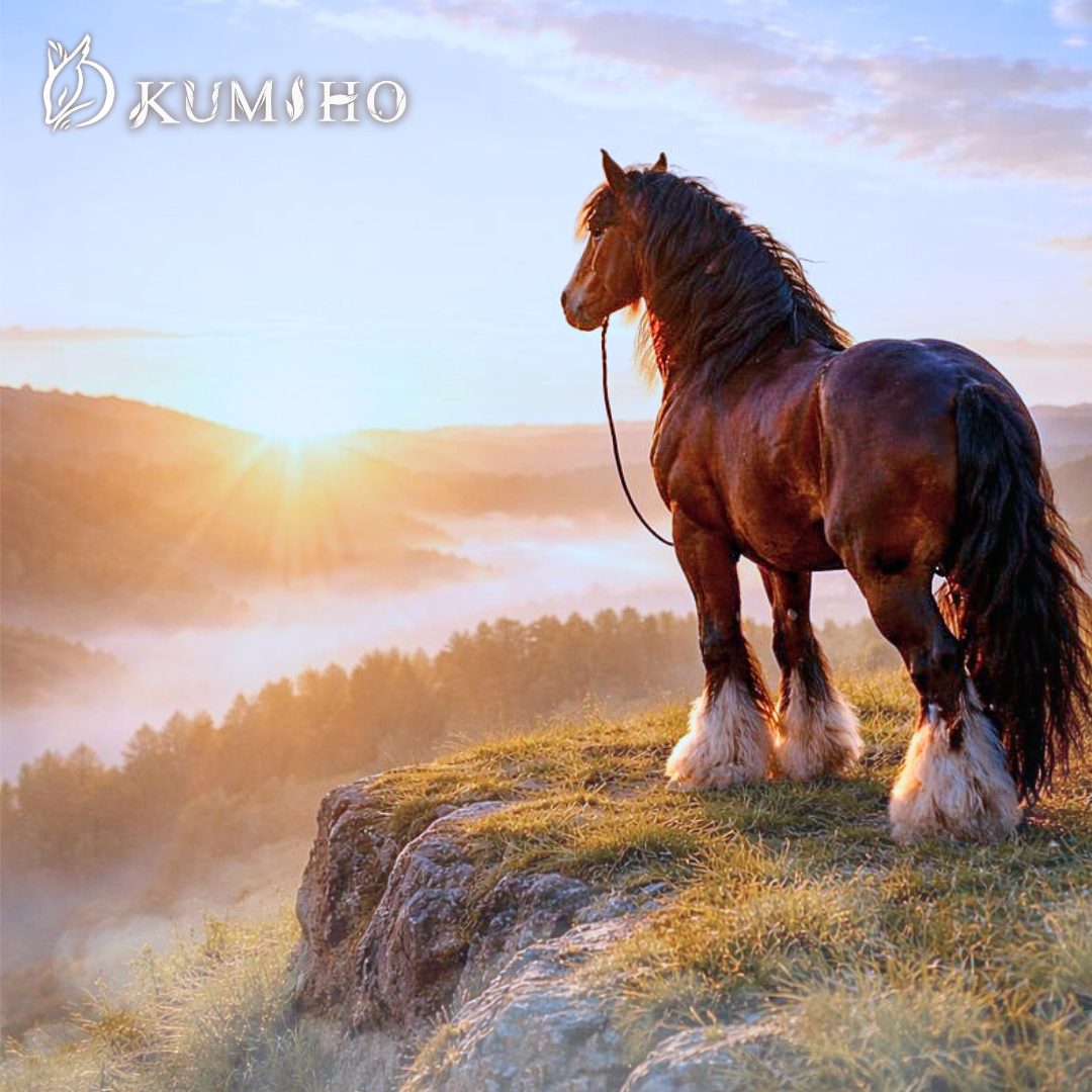 願你在馬年的曙光升起前，擁有自己的步調，跑出屬於你的優雅馬拉松。