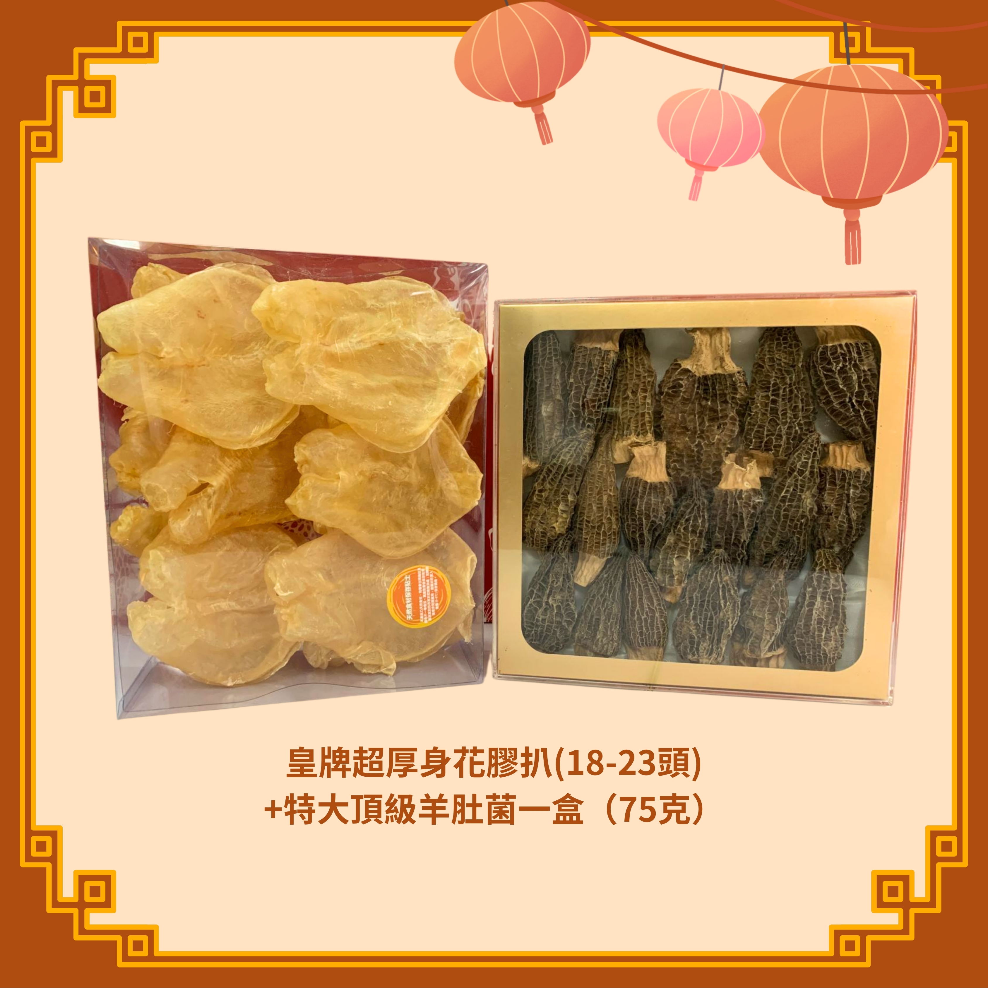 皇牌超厚身花膠扒 (18-23頭) (600g) + 特大頂級羊肚菌 (75g) (H112)
