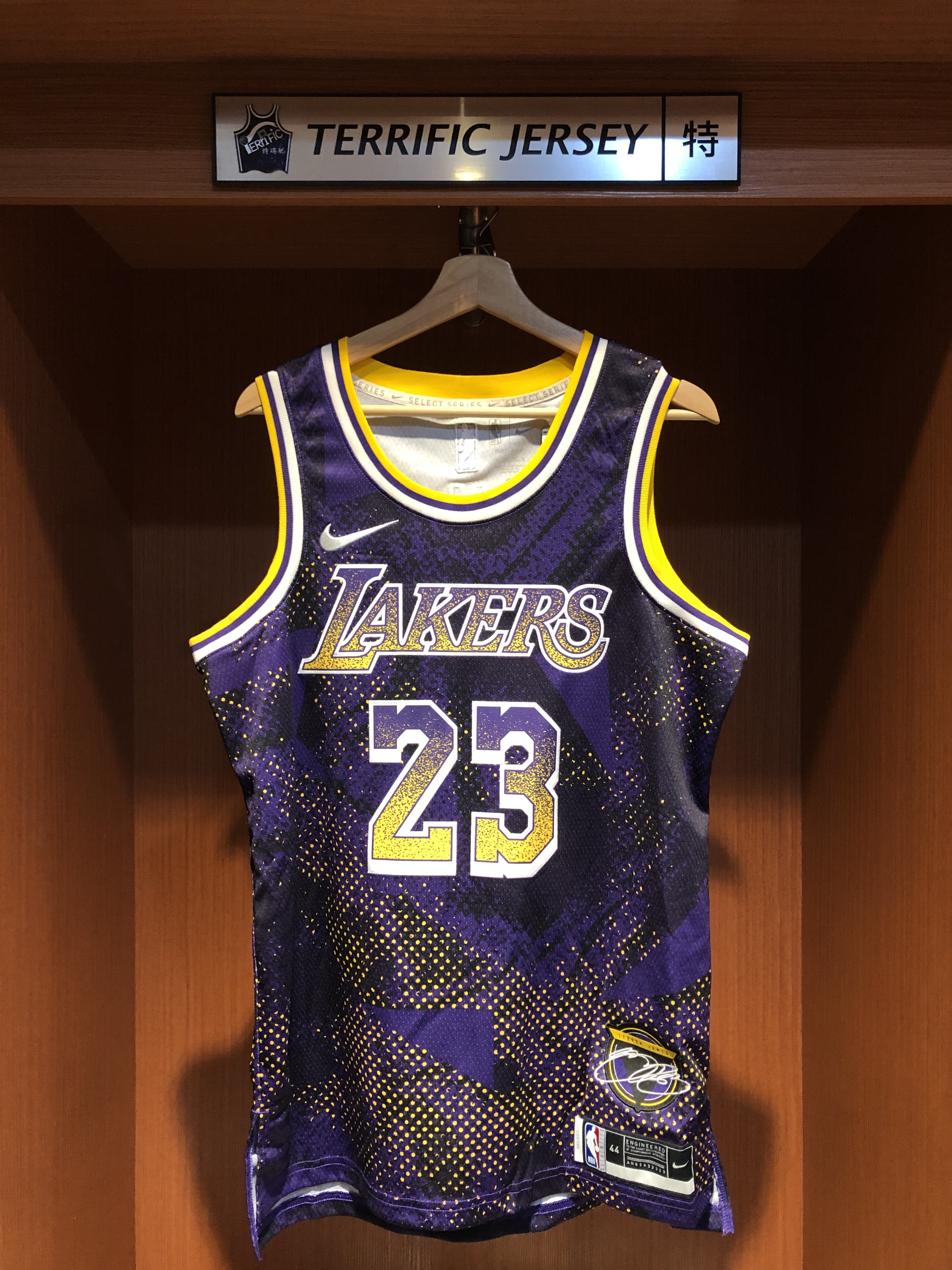 NBA球衣 Lebron James 洛杉磯湖人 Select Nike Swingman 球迷版 電繡 全新