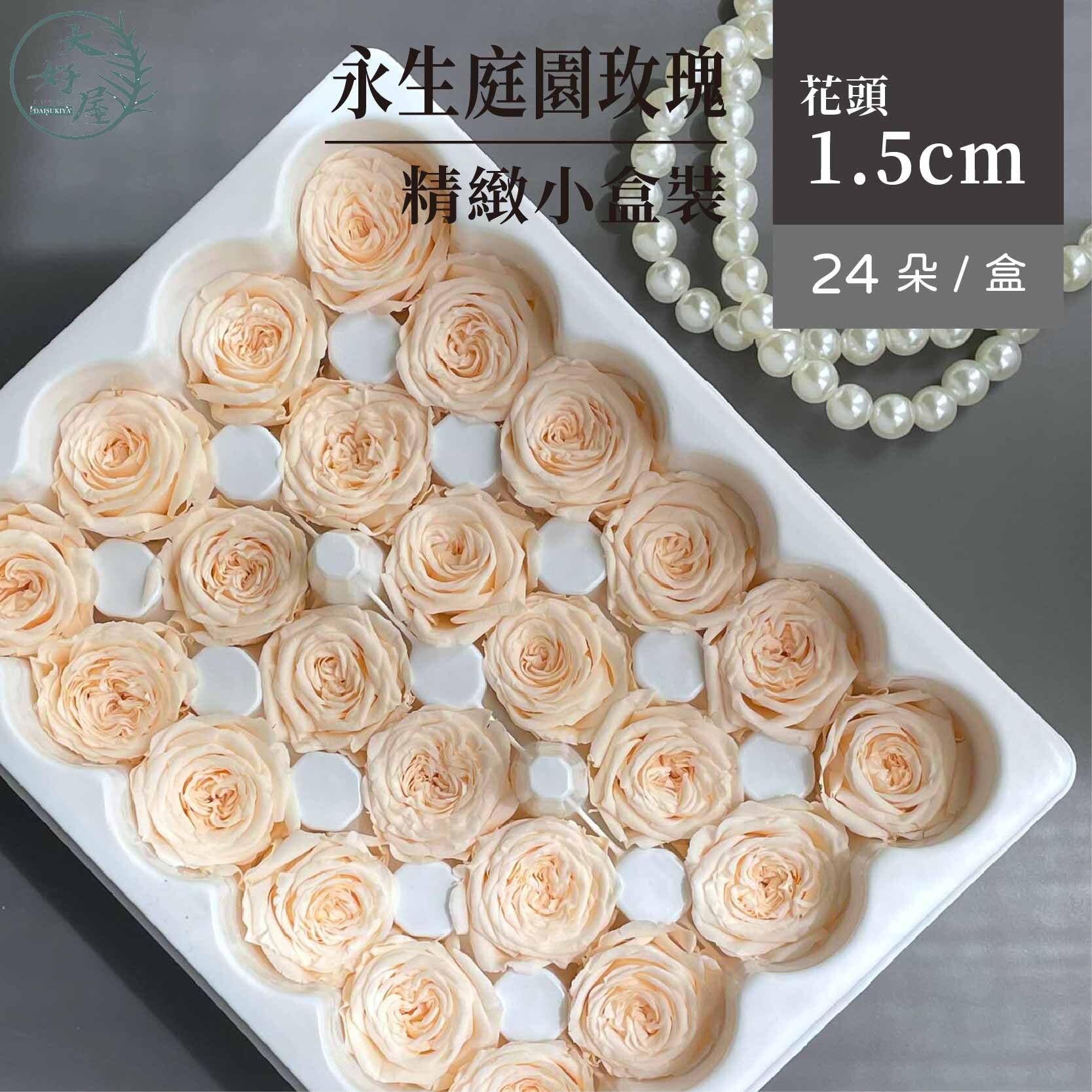 永生庭園玫瑰【24朵裝】（巧克力泡泡）