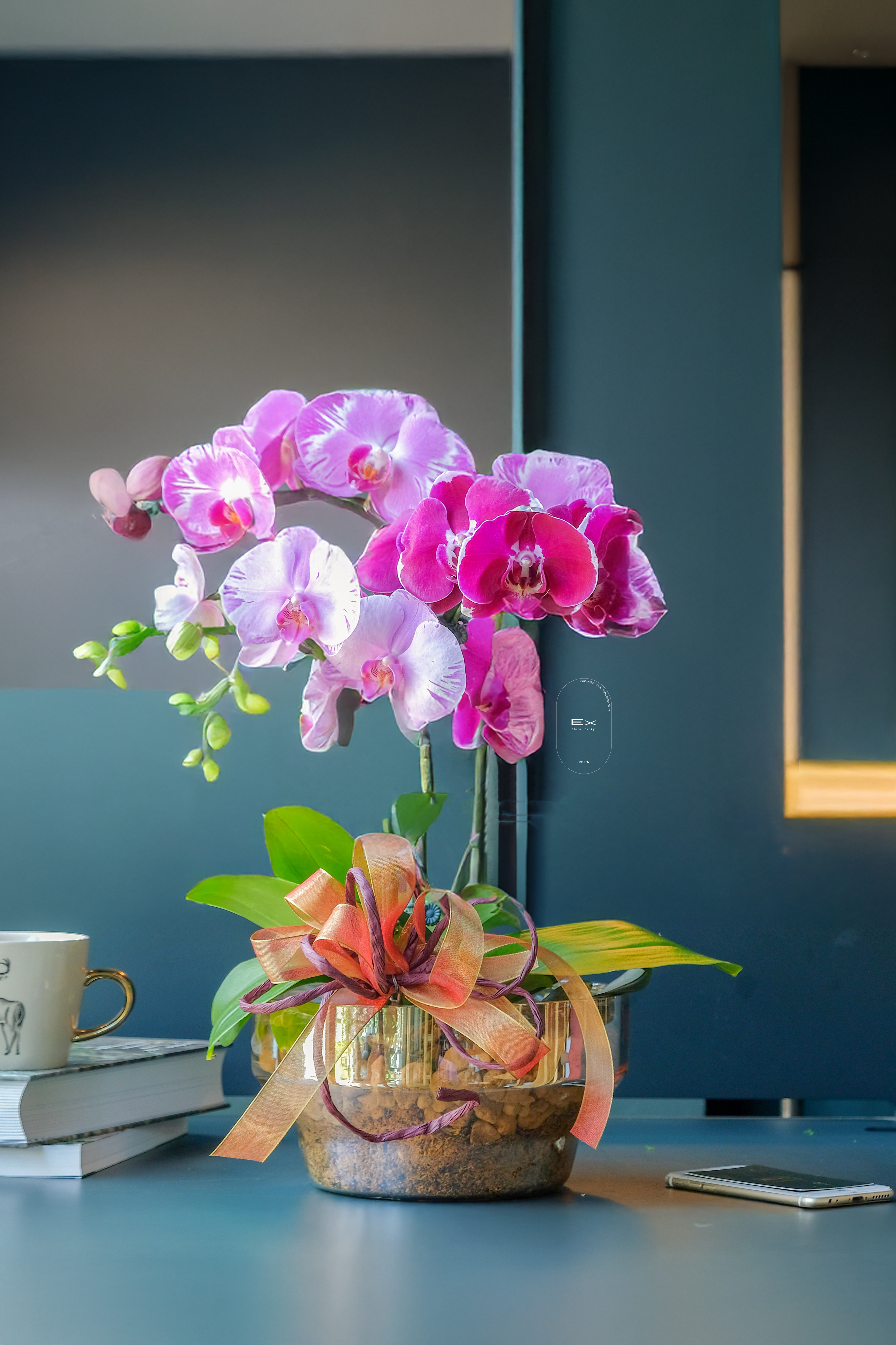 花映躍春 Blooming Spring｜蝴蝶蘭花禮