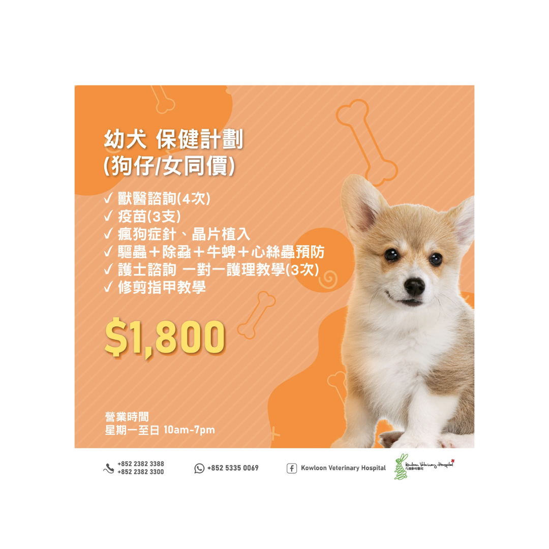 KVH - 幼犬身體保健計劃 (此計劃只適合 1 歲前的幼犬)