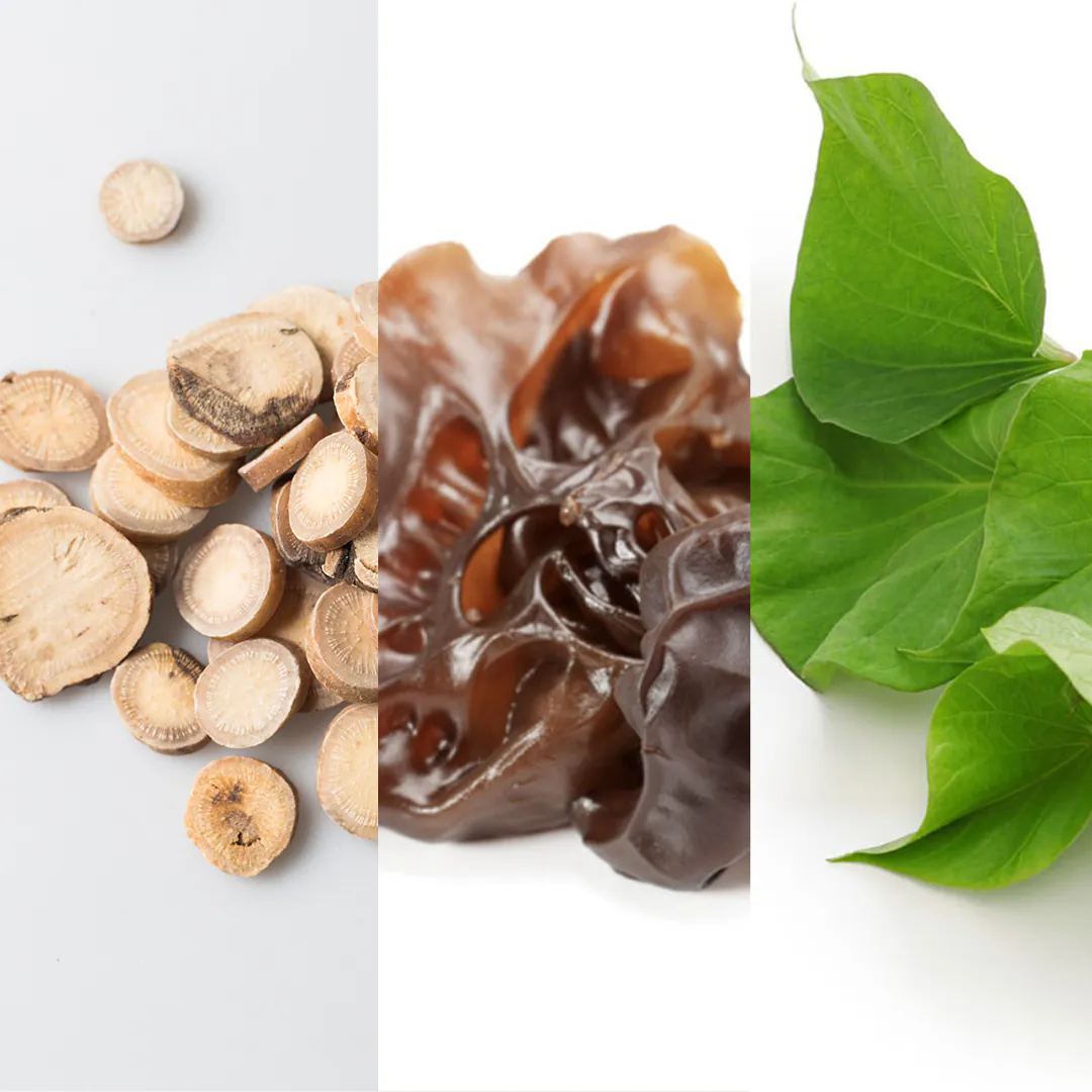 高纖食物牛蒡黑木耳地瓜葉