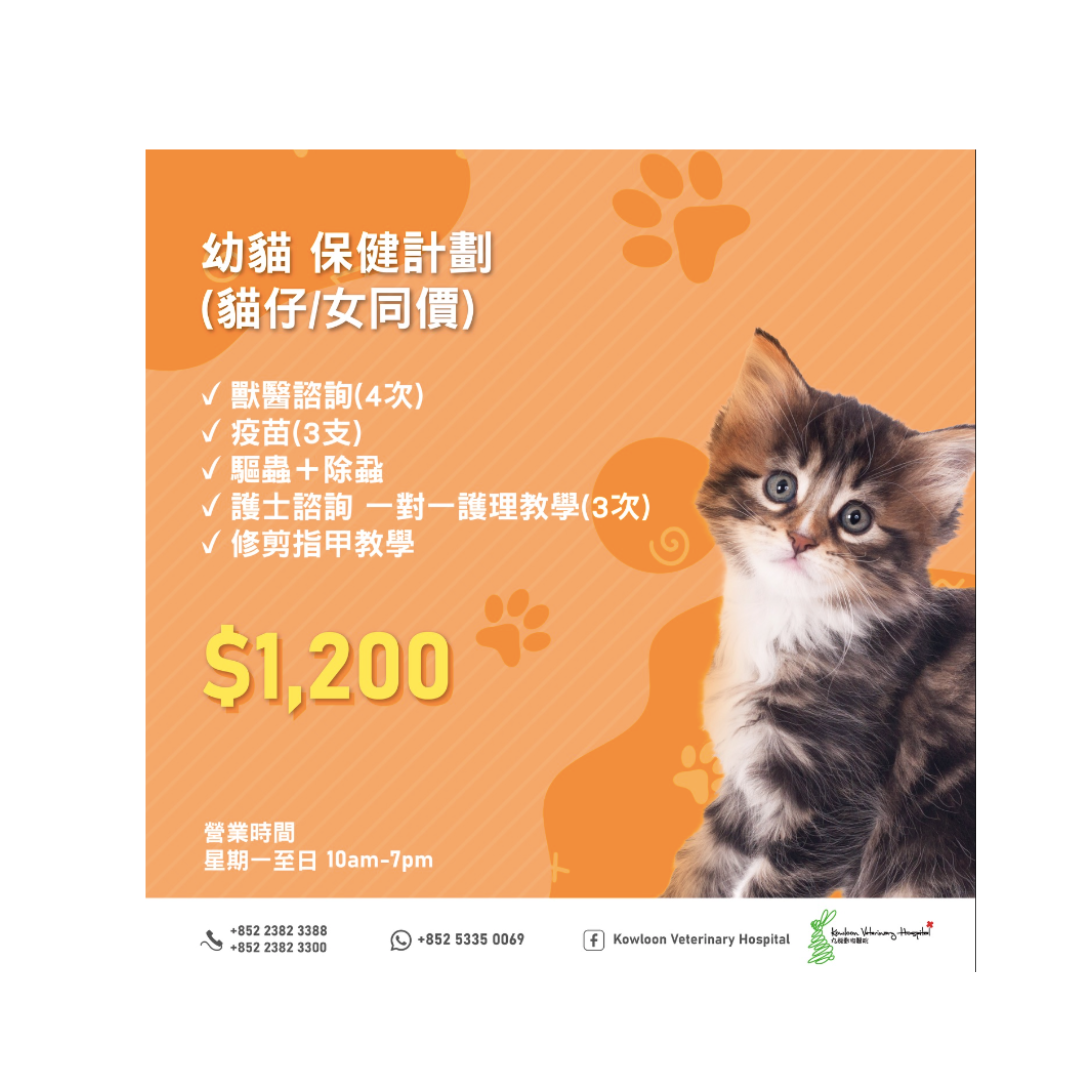 KVH - 幼貓身體保健計劃 (此計劃只適合 1 歲前的幼貓)