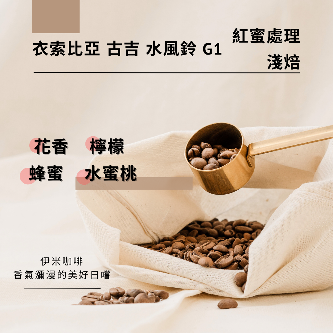 衣索比亞 古吉 水風鈴 紅蜜處理 G1 /半磅
