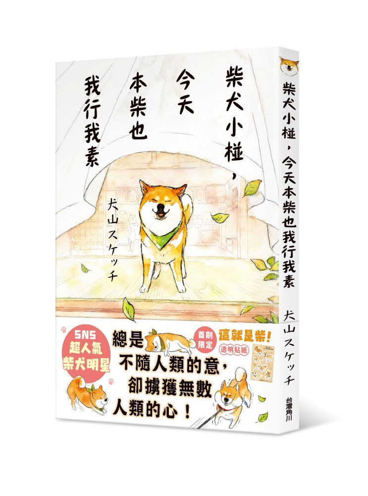 柴犬小椪，今天本柴也我行我素