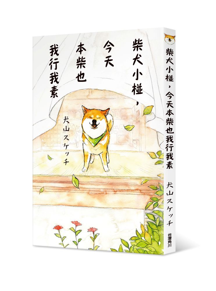 柴犬小椪，今天本柴也我行我素