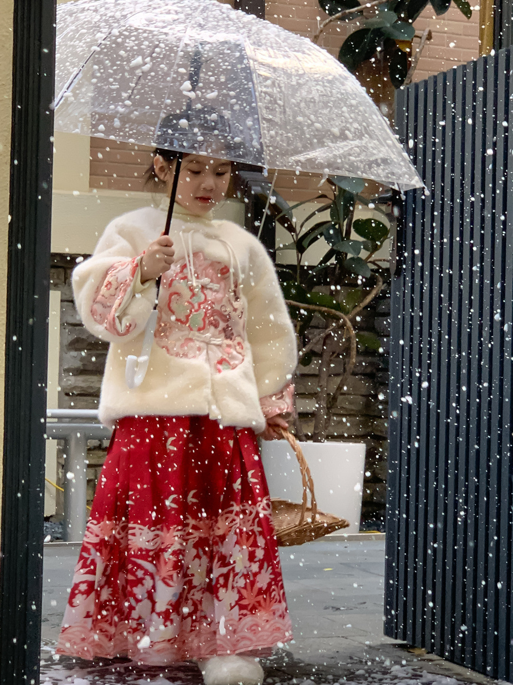 中國風貴氣毛絨外套/馬面裙套裝(90-150)