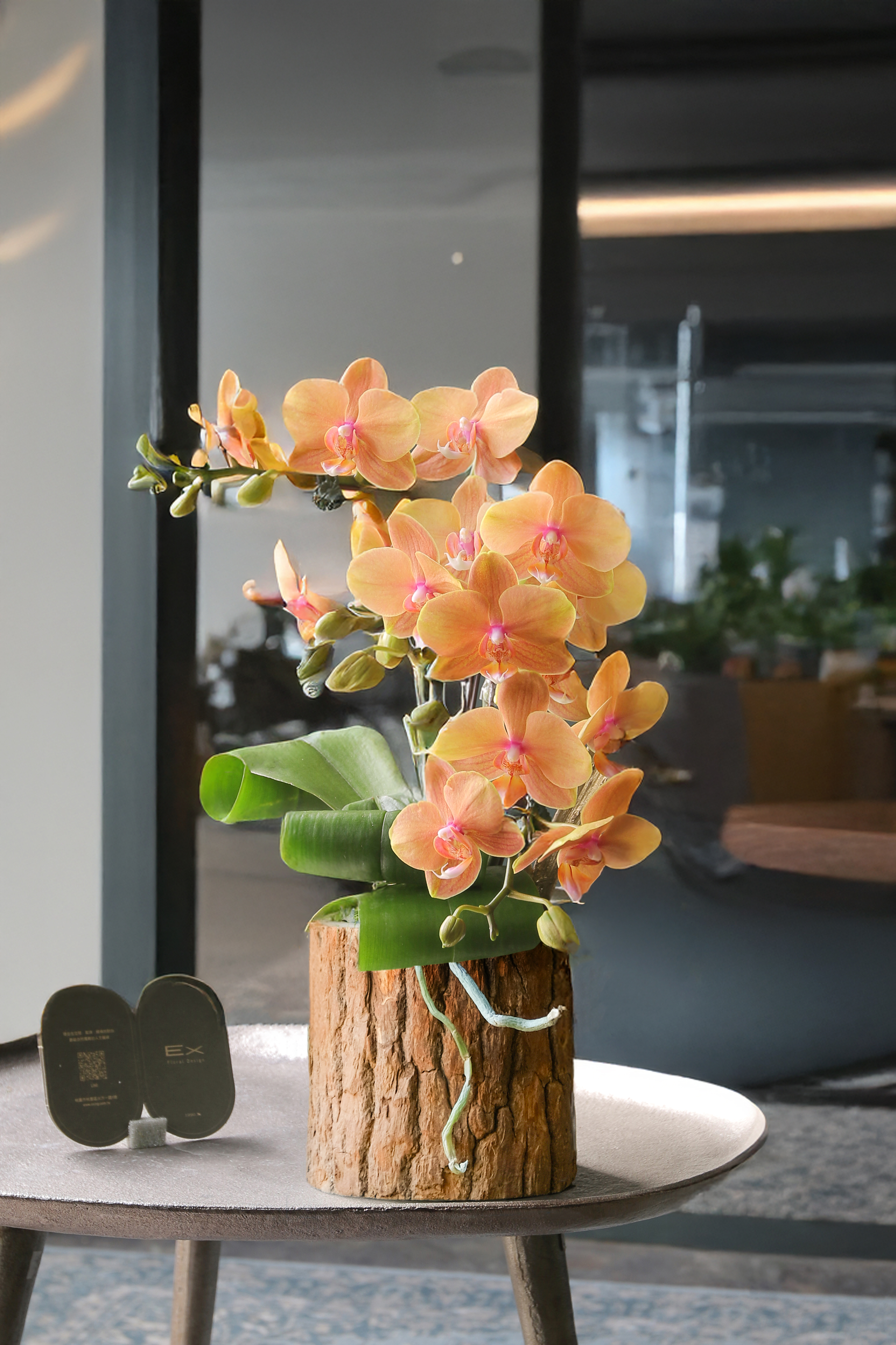 蘭香 Orchid Essence｜蝴蝶蘭花禮