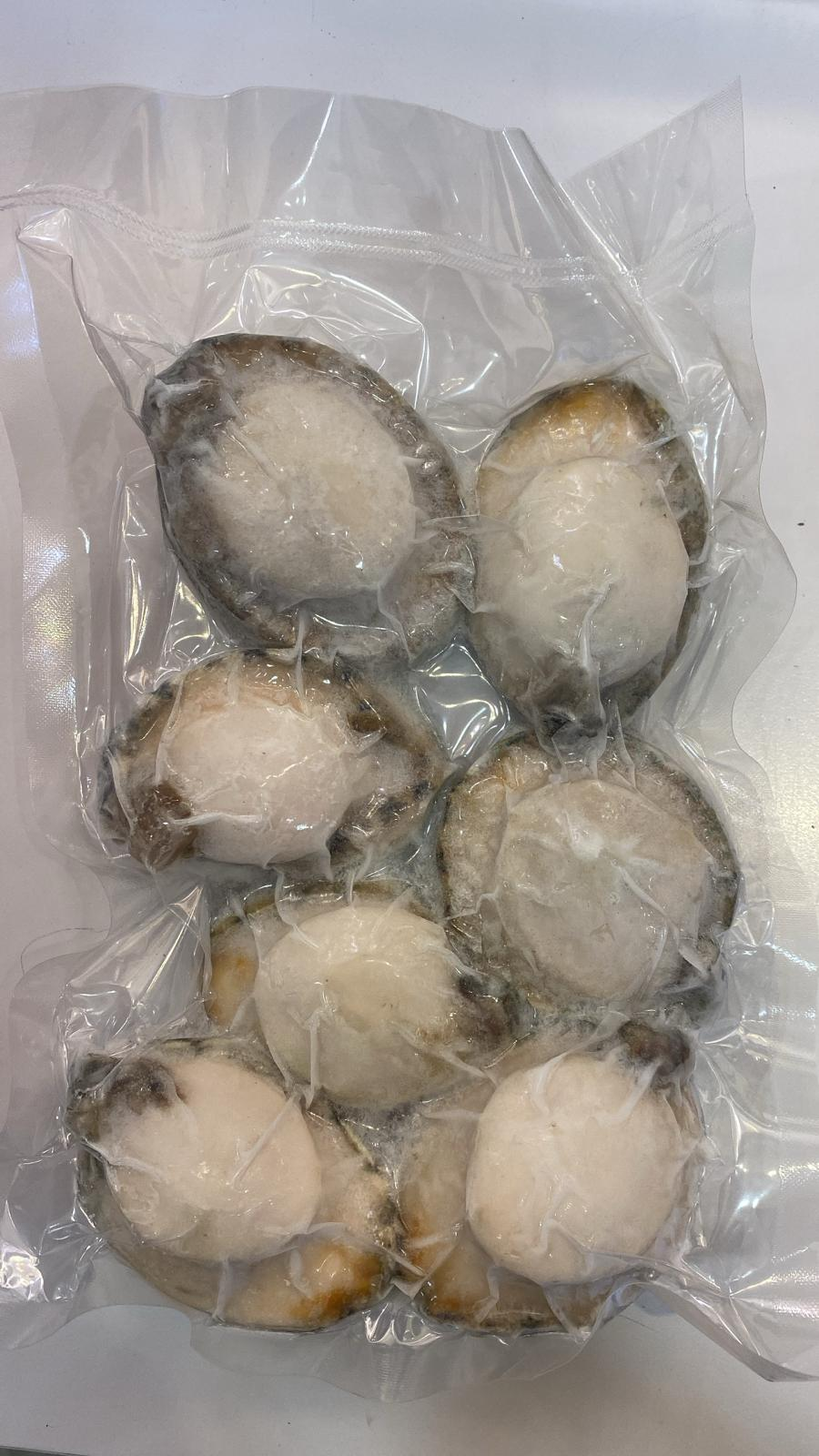 PRM-FFG0106-055 急凍南澳BB青邊鮑魚每磅約7-8隻 (B3)