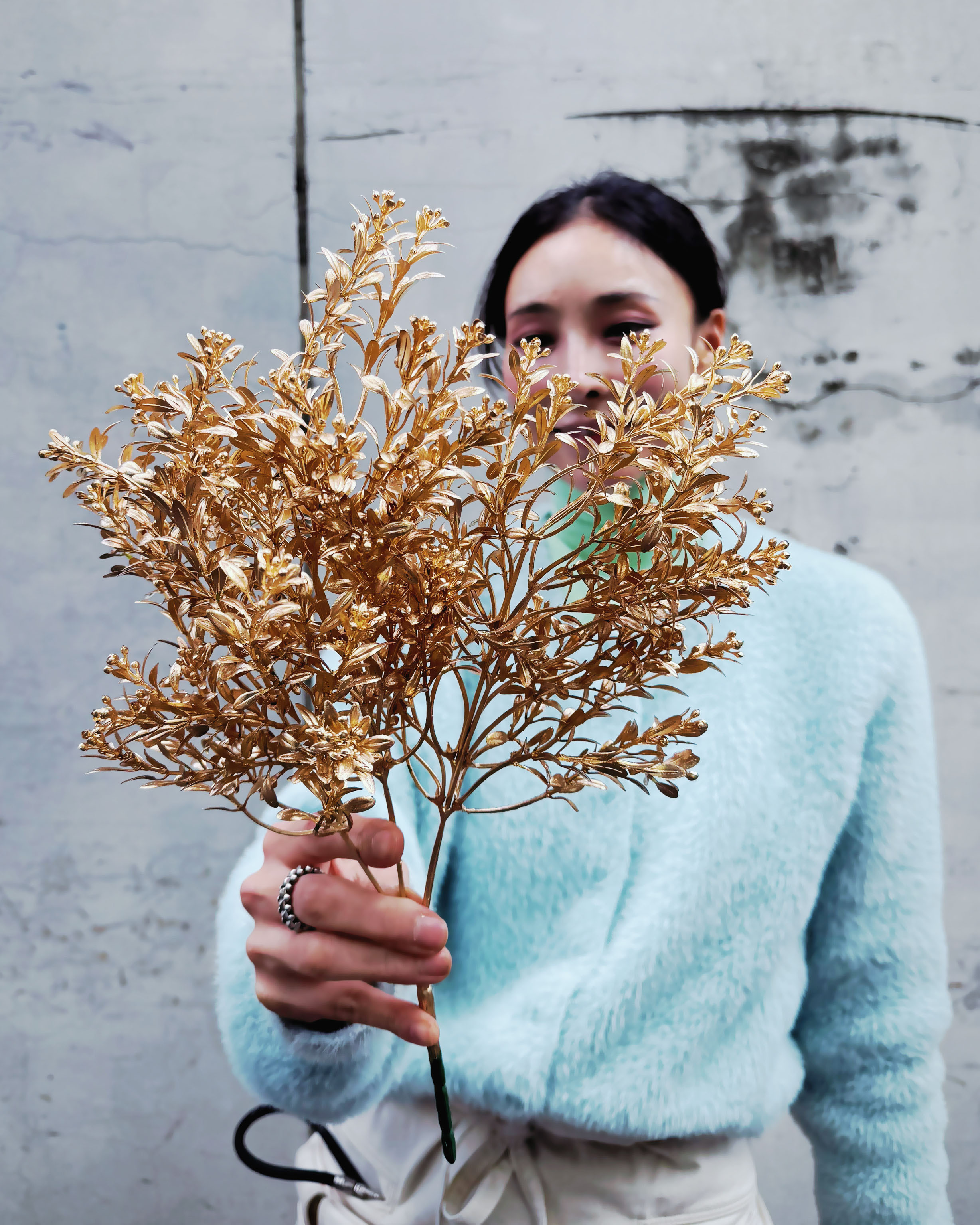 金色擬真月見草