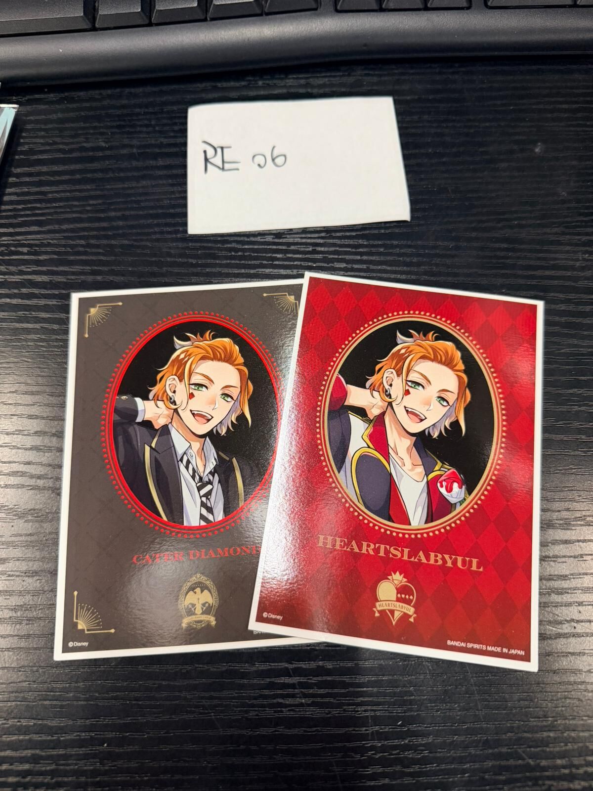 TWST CATER 相卡 2入SET #RE06