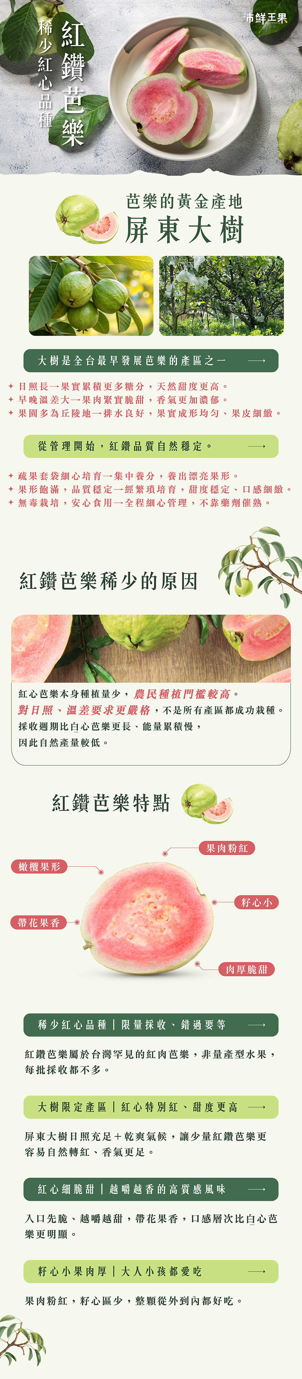 紅鑽,紅鑽芭樂,紅寶石芭樂,紅心芭樂,紅寶石,紅心,產地,直送,現採,彰化,百香果,都香,都香三號,都香3號,大樹,甜,禮盒,水果,老欉,文旦,麻豆,台南,產地,直送,現採,中秋,團圓,月餅,果肉,多汁,柚子,屏東,梨山甘露梨,梨山,甘露梨,梨,卓蘭甘露梨,葡萄,巨峰,巨峰葡萄,大樹,屏東