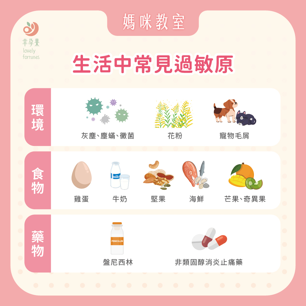 幸孕果媽咪教室 寶寶過敏怎麼來的?一次搞懂體質、腸道、免疫三角關係