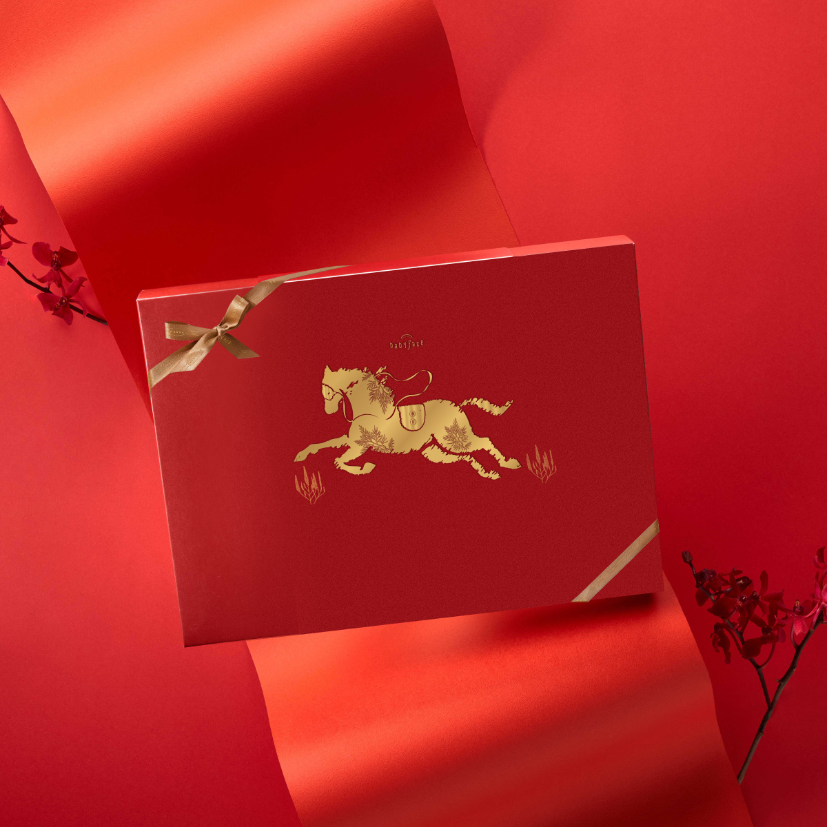 【babyface】幸福慶典（奔躍金馬）