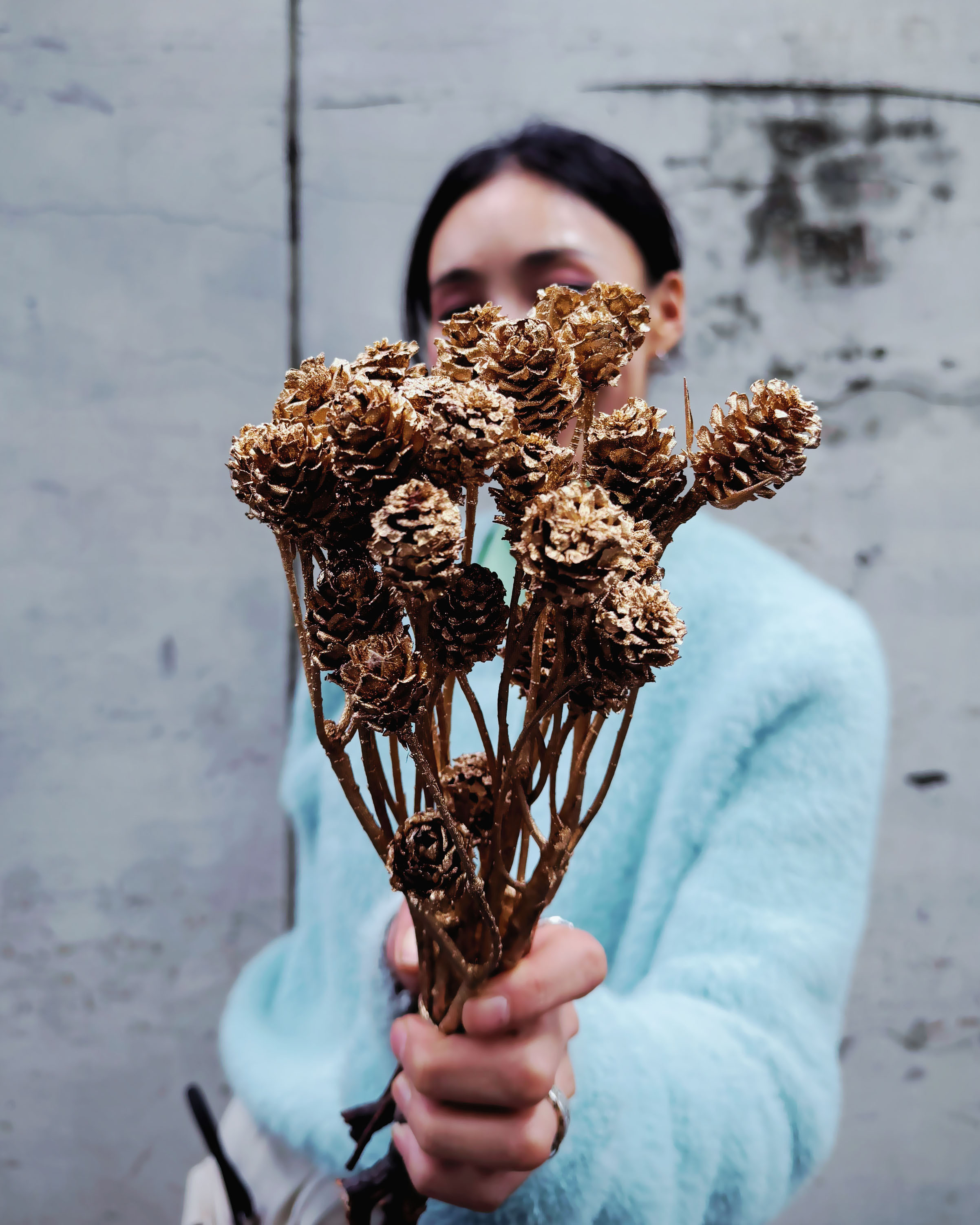 乾燥陽光果（南非，五色）