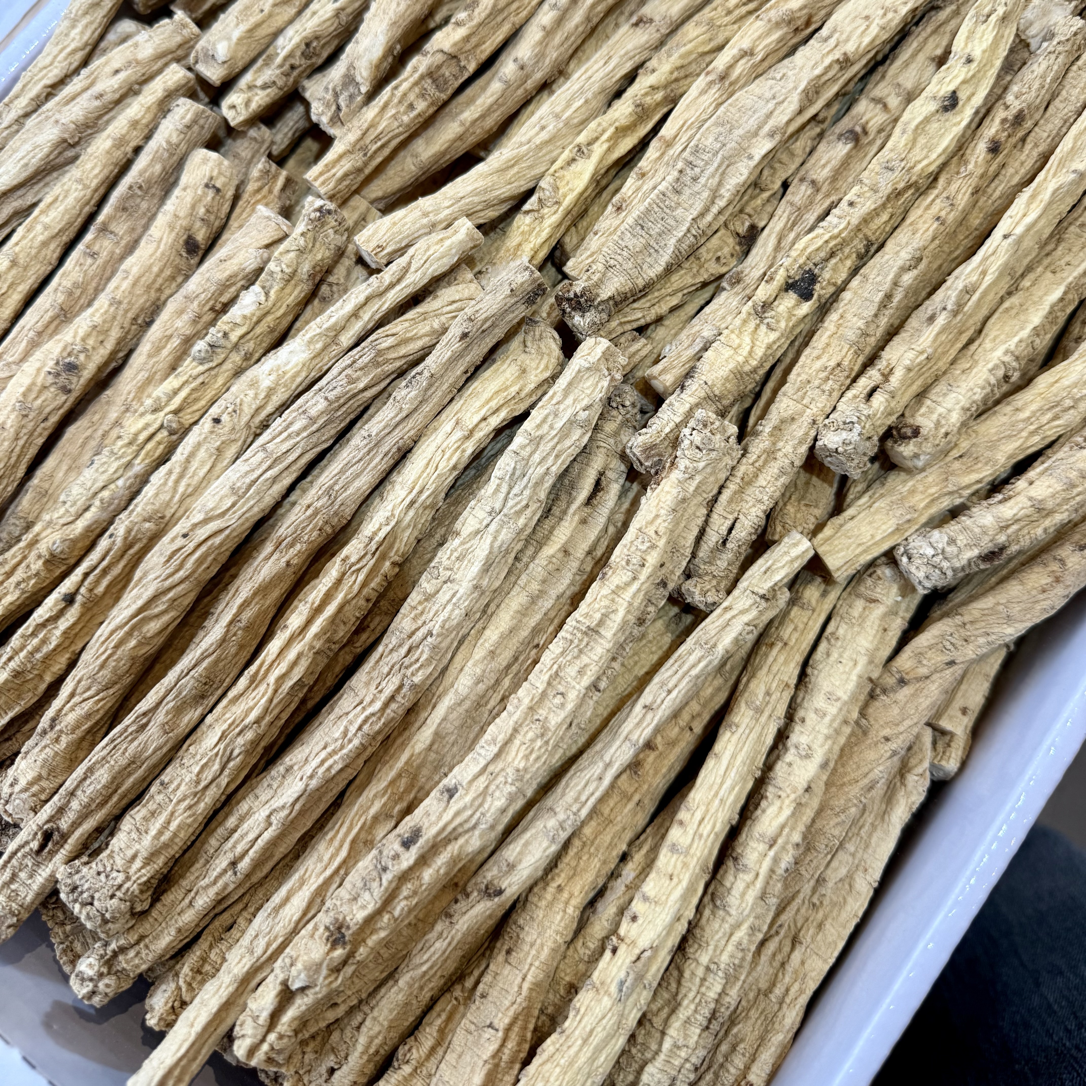 A級紋黨參