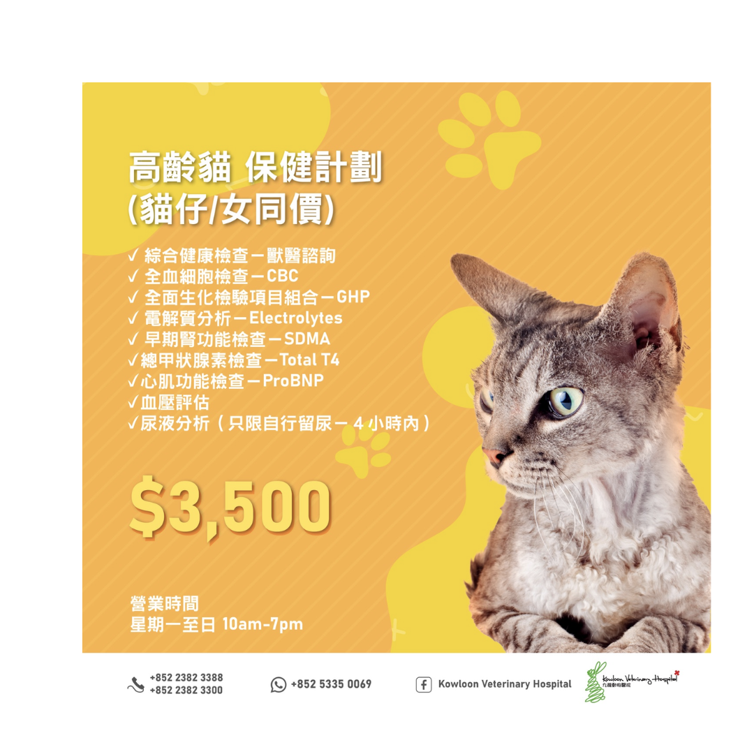 KVH - 高齡貓保健計劃