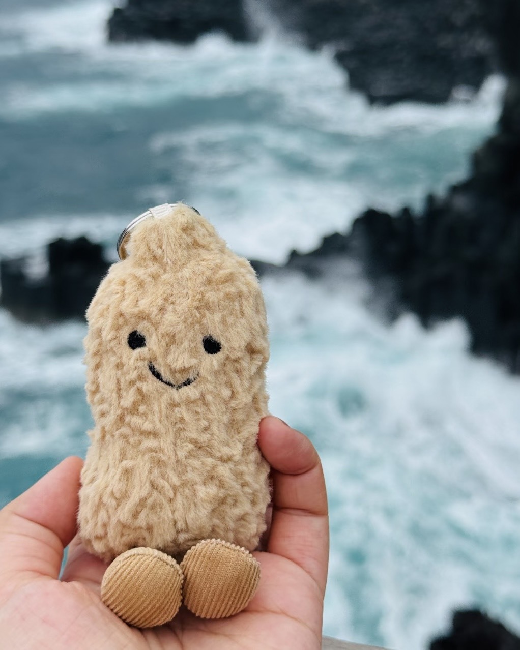 <萌翻掉>🇰🇷韓國濟州島 苦盡柑來 限定 花生 好事花生 毛絨 掛飾 吊飾