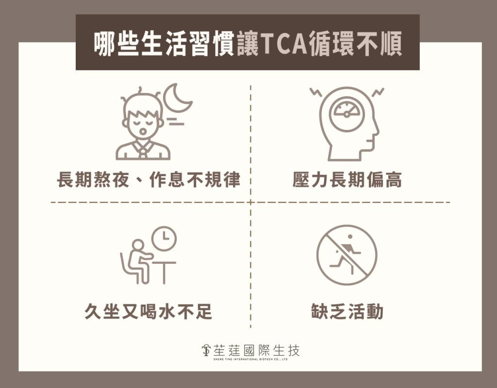 哪些生活習慣讓TCA循環不順