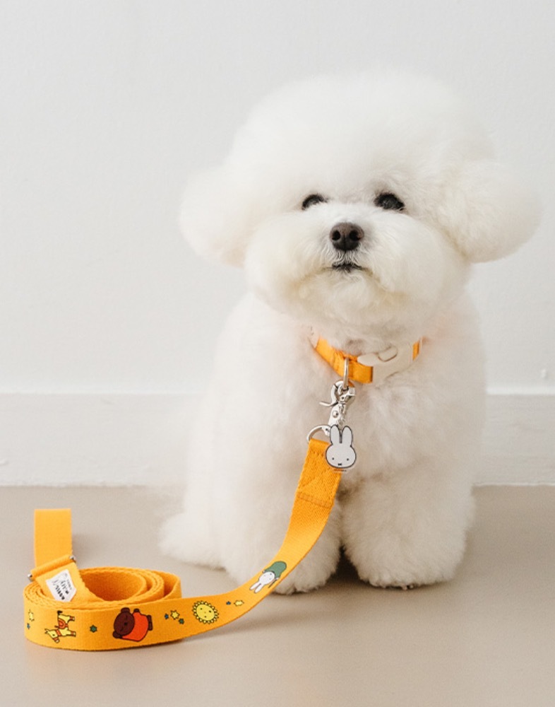 Noutti Miffy & Friends 嘉年華1.8m牽繩