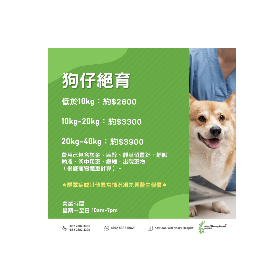 KVH - 狗狗絕育保健計劃 (狗仔 & 狗女)