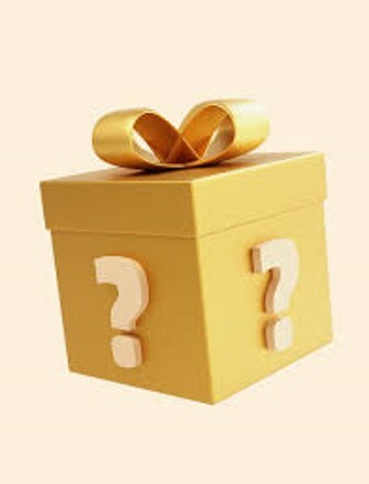 士林總會｜IP絨毛娃娃福袋｜罐頭豬LuLu／艾絲樂小兔／卓大王／ RICO (隨機不含盒)