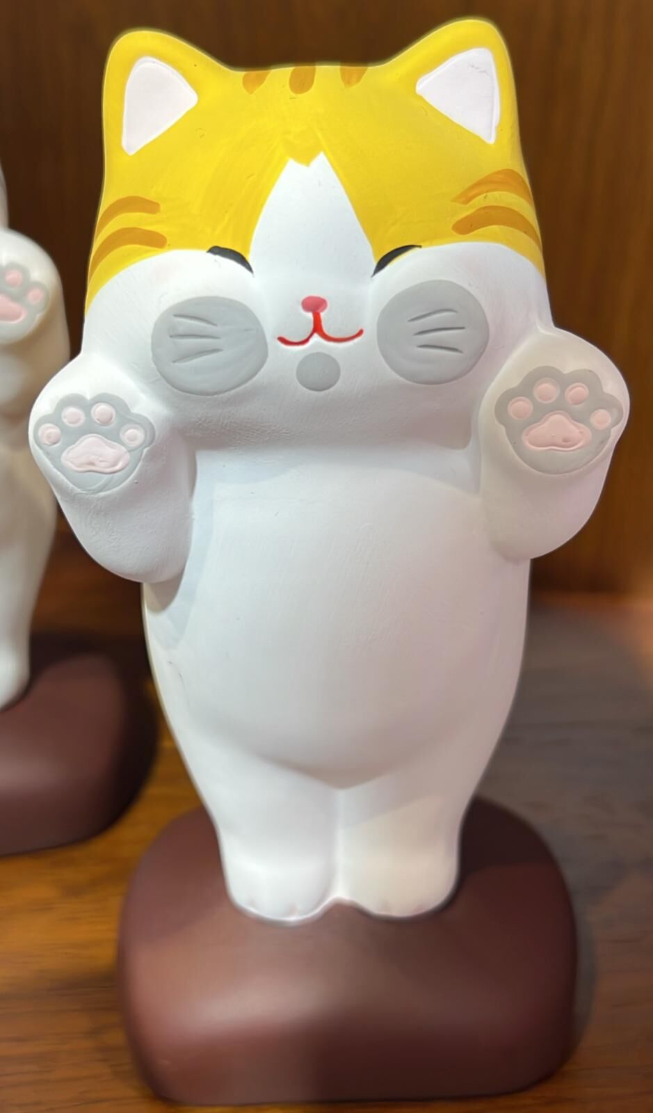 【直播】LL010673 趴窗來財貓 (大)