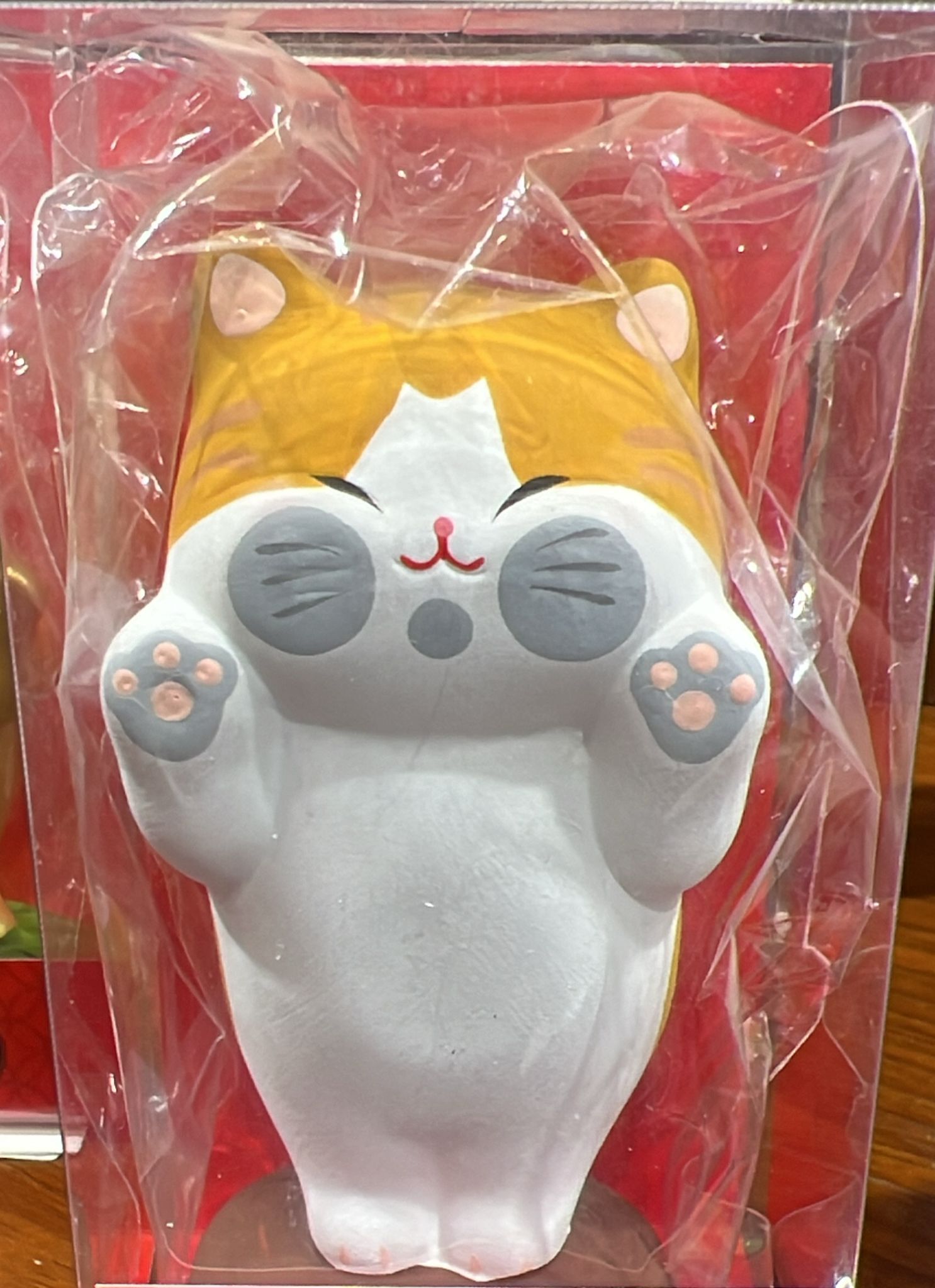 【直播】LL010678 趴窗來財貓 (小)