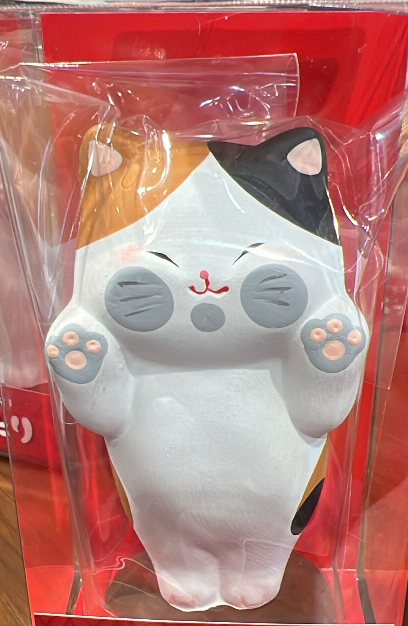 【直播】LL010678 趴窗來財貓 (小)