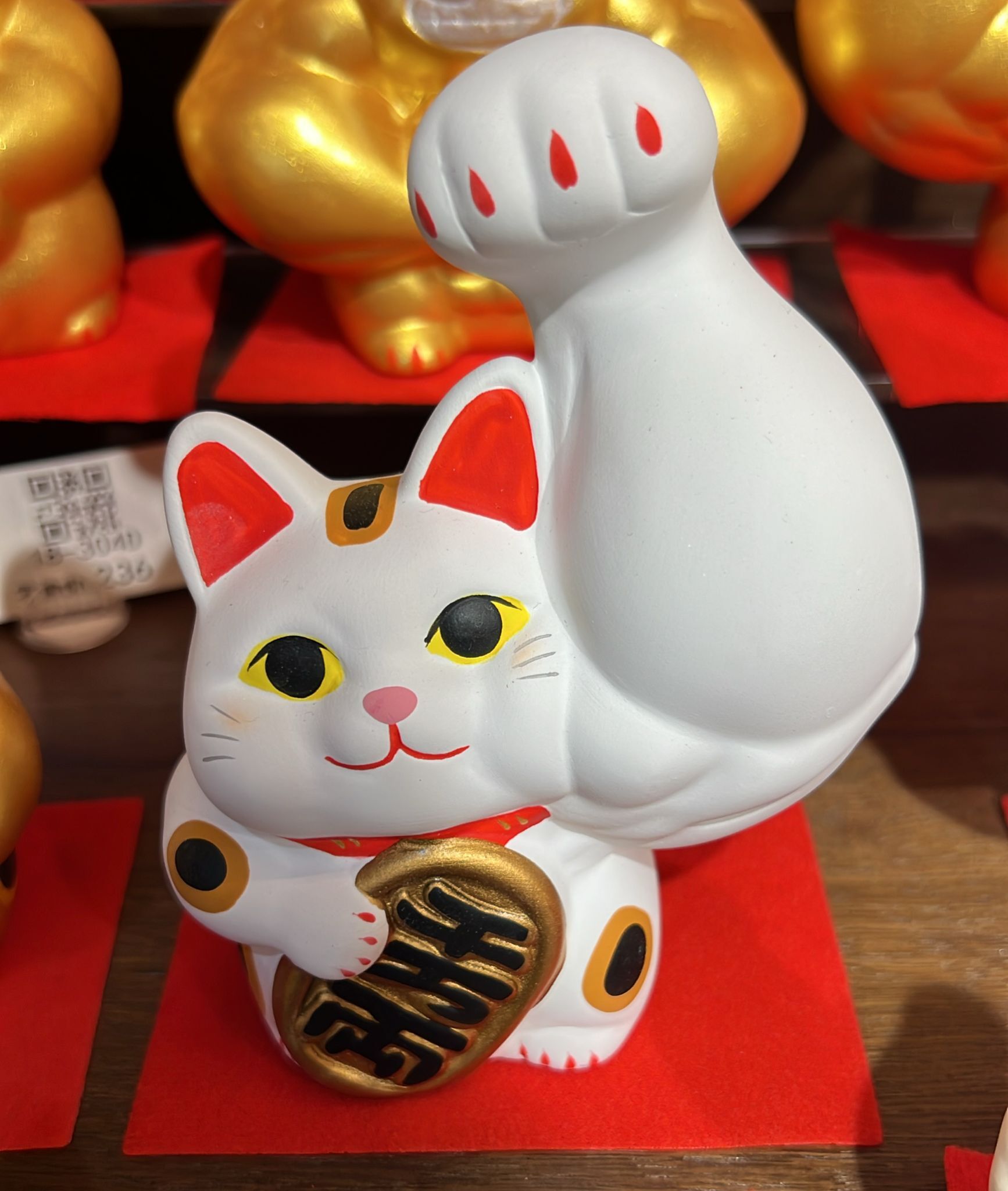 【直播】LL010683 巨臂千萬兩納福貓