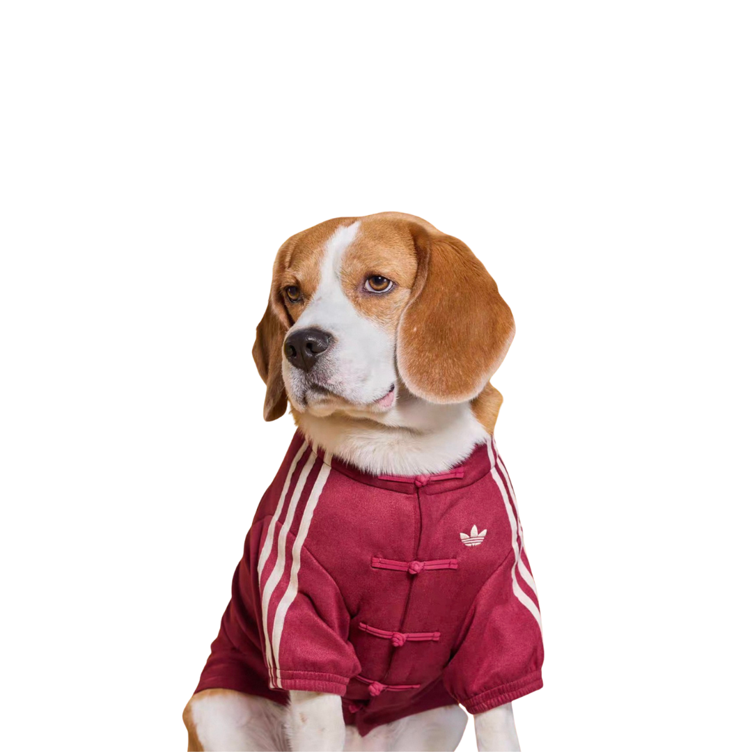 【代購】Adidas Originals 三葉草新年限定 新中式 運動款 保暖寵物衣 2款