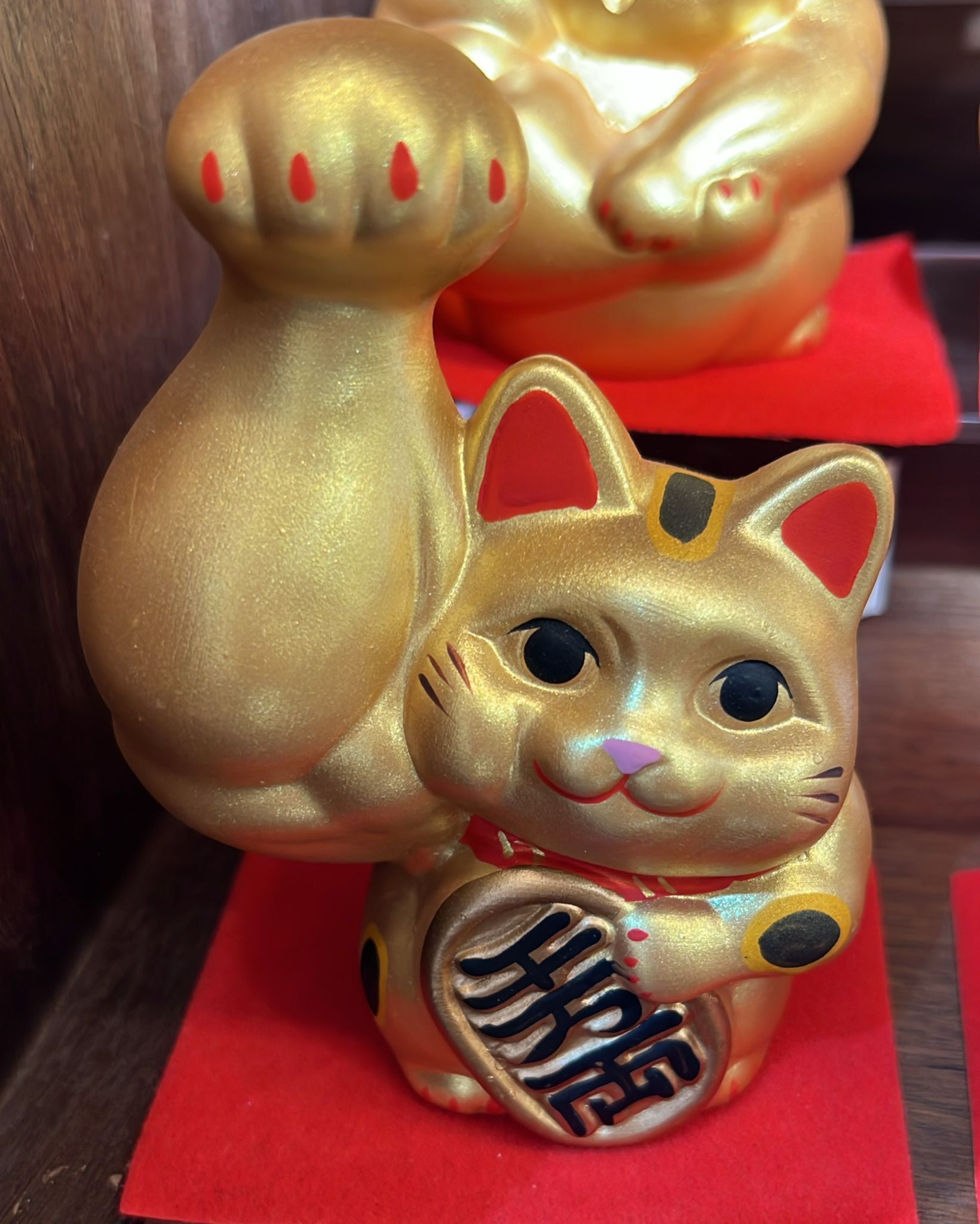 【直播】LL010684 巨臂千萬兩納福金貓