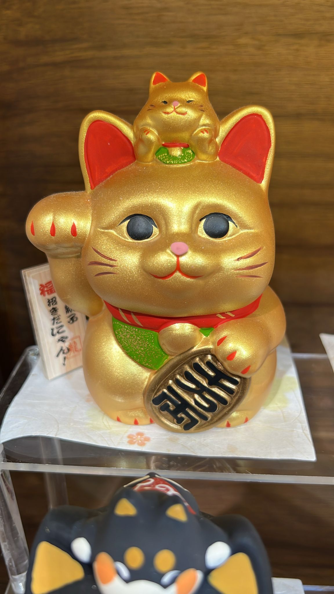 【直播】LL010656 頭頂小貓存錢罐