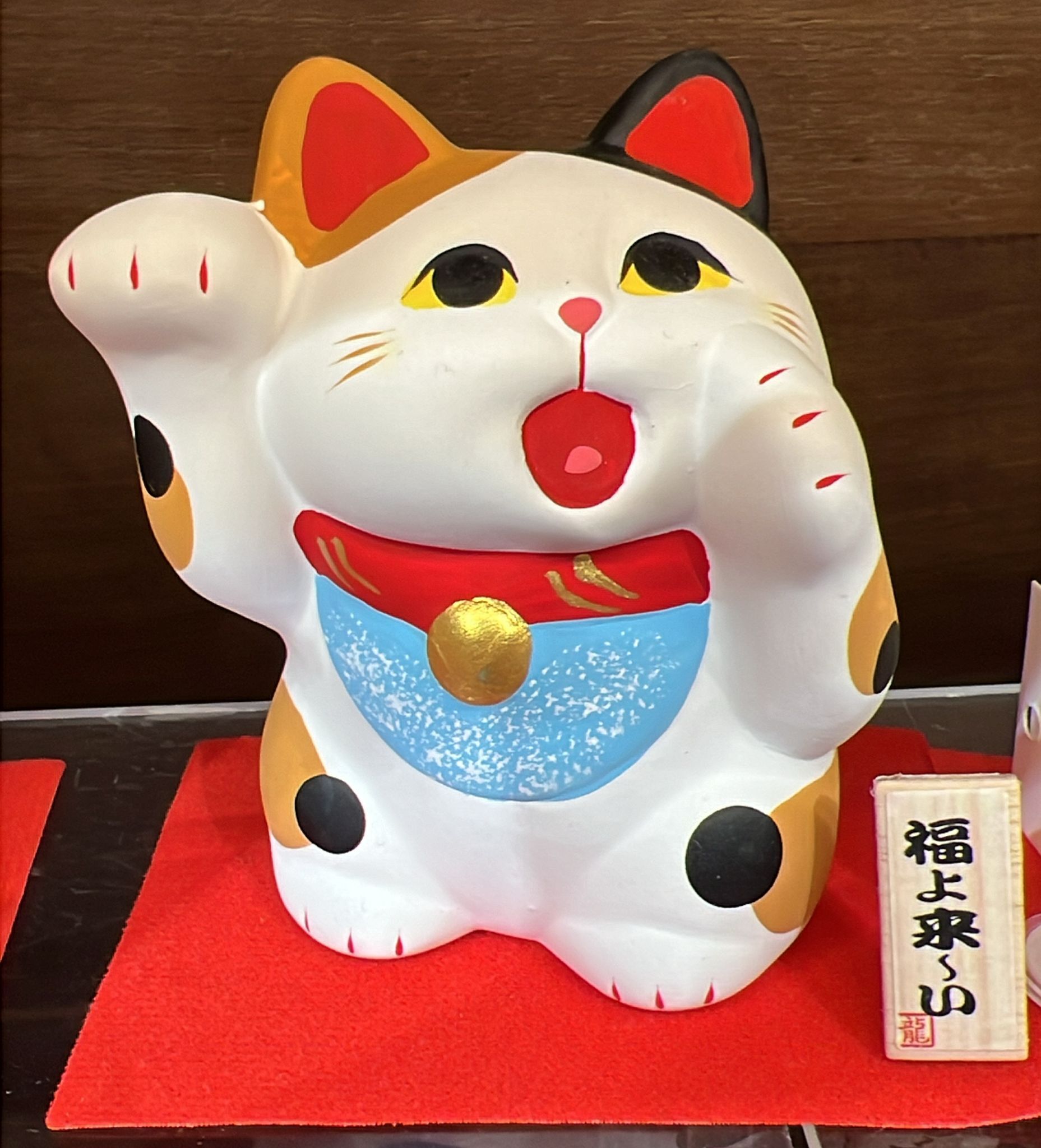 【直播】LL010657 幸運福運貓