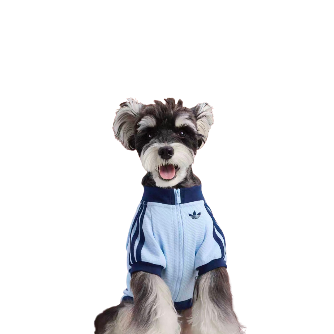 【代購】Adidas Originals 三葉草新年限定 新中式 運動款 保暖寵物衣 2款