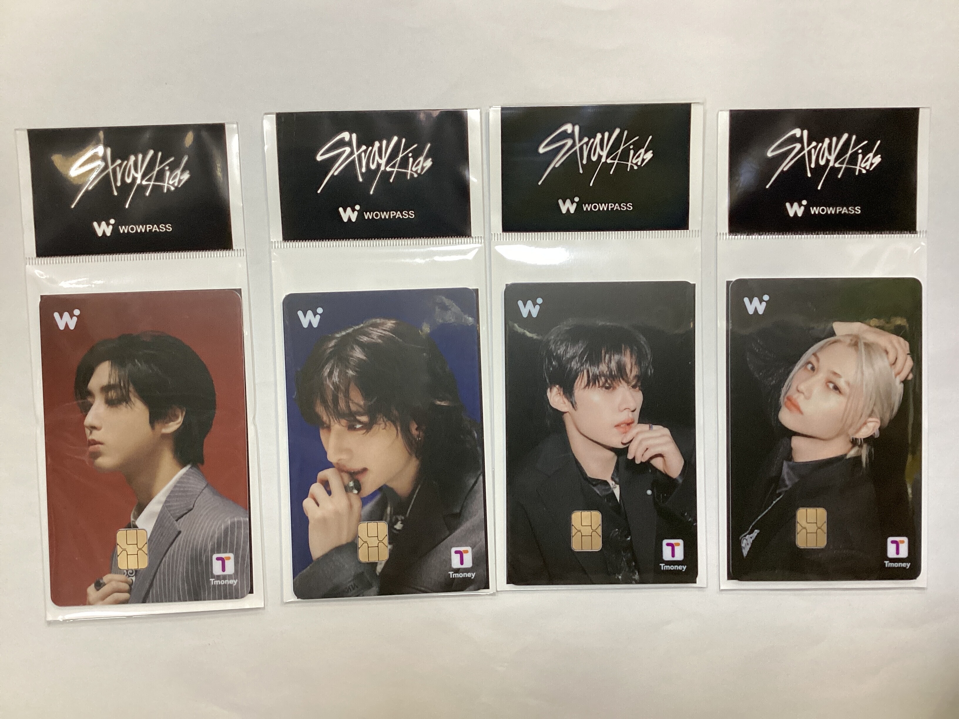 Stray kids WOWPASS ( dominATE: celebrATE)